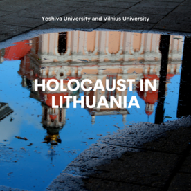 puddle with lithuania castle inverted